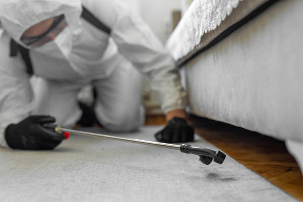 Professional Termite Control technician working in Knox, IN