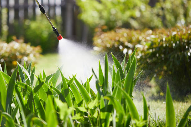 24/7 Emergency Termite Control experts in Knox, IN