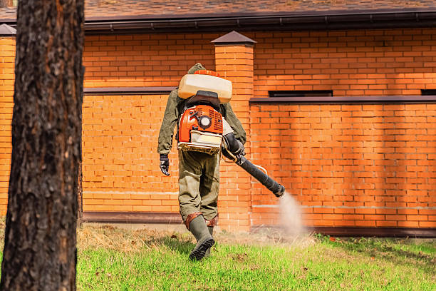 Top rated local Termite Control specialists in Knox, IN